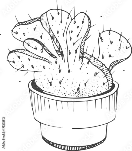 Cactus in Pot Line Art Monochrome Illustration 