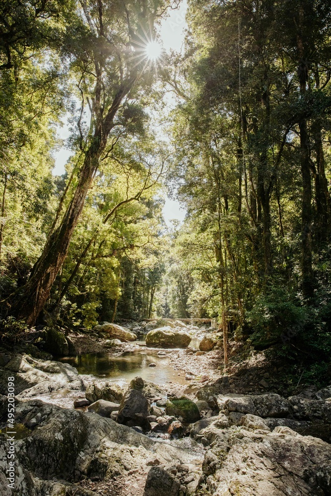 Close up shot of a mountain river in the forest Close up shot of a mountain river in the forest