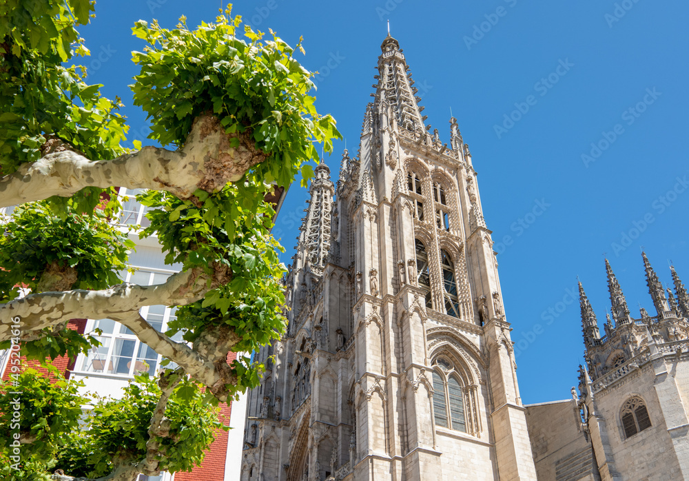  Burgos an ancient city of art