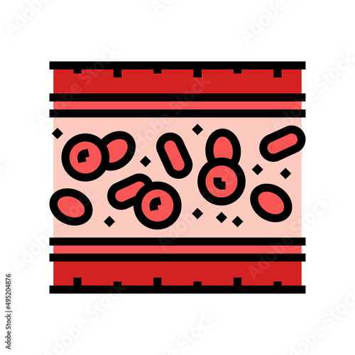 artery vessel color icon vector. artery vessel sign. isolated symbol illustration