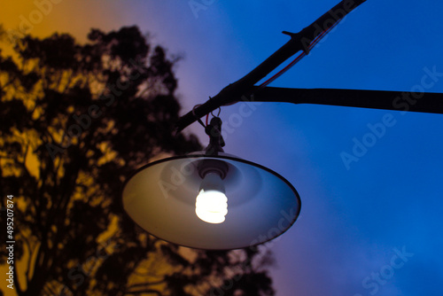 lamp 