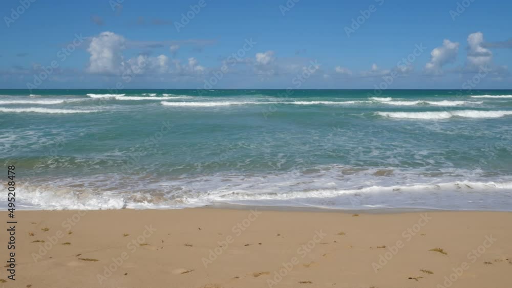 Pristine and bounty sandy seashore with atlantic ocean. Caribbean nature. Dominican Republic Pristine and bounty sandy seashore with atlantic ocean. Caribbean nature. Dominican Republic