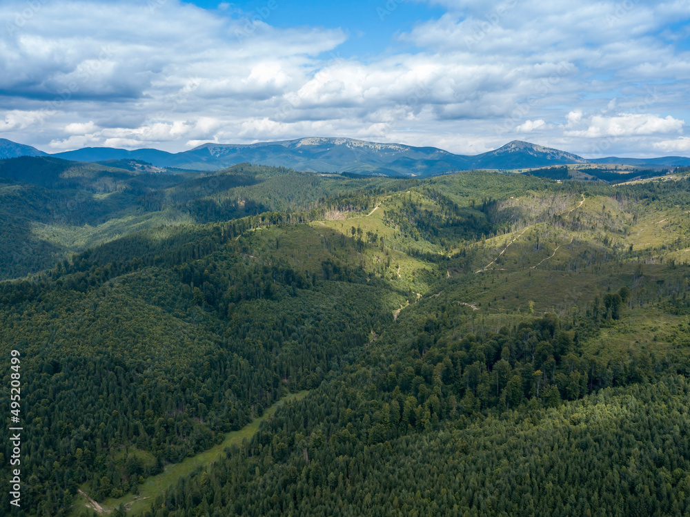 Green mountains of Ukrainian Carpathians in summer. Coniferous trees on the slopes. Aerial drone view.