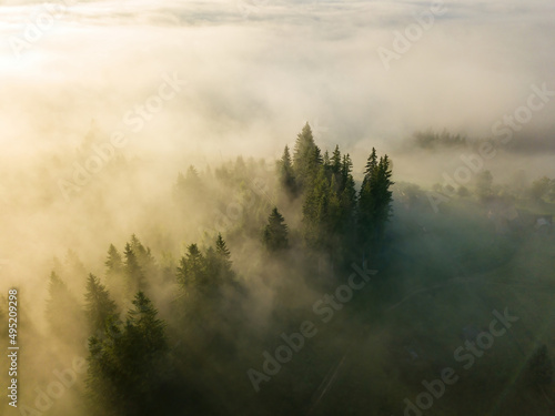 Foggy summer morning in the Ukrainian Carpathians. Aerial drone view. © Sergey