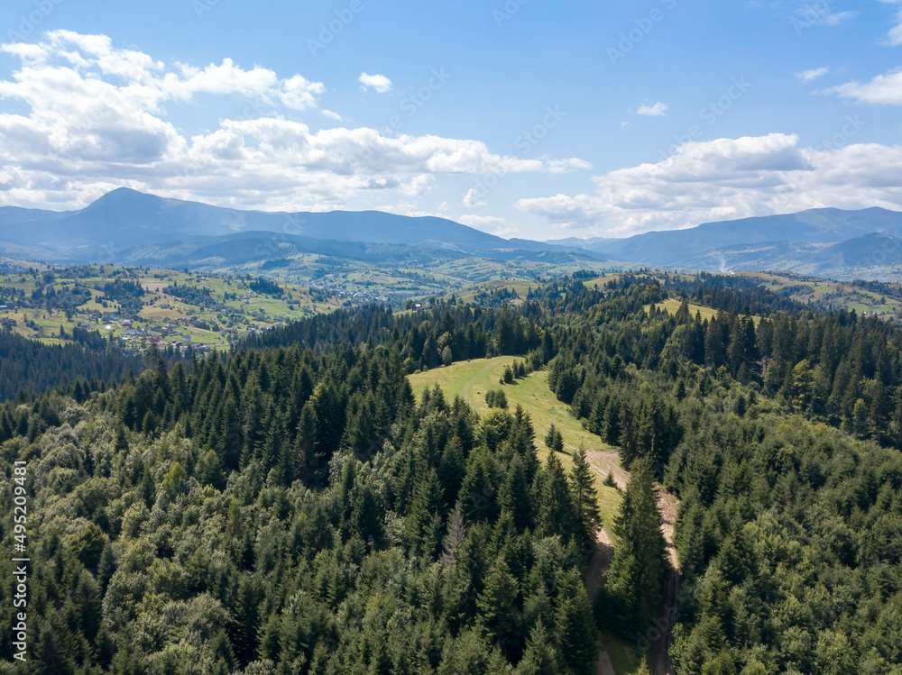 Obraz premium Green mountains of Ukrainian Carpathians in summer. Coniferous trees on the slopes. Aerial drone view.