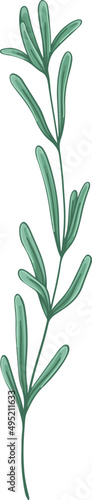 Branch with Green Leaves Illustration