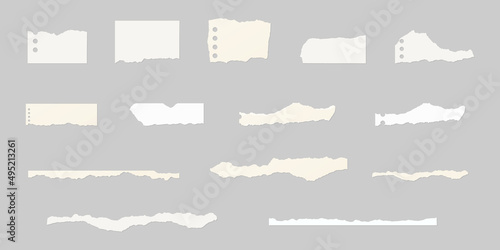 Torn paper set. Set of ripped paper. Vector illustration.