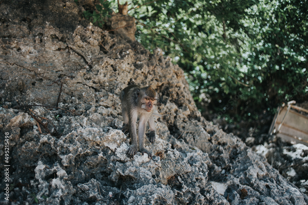 Bali, Indonezja