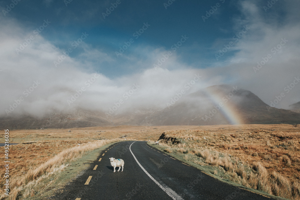 Ireland