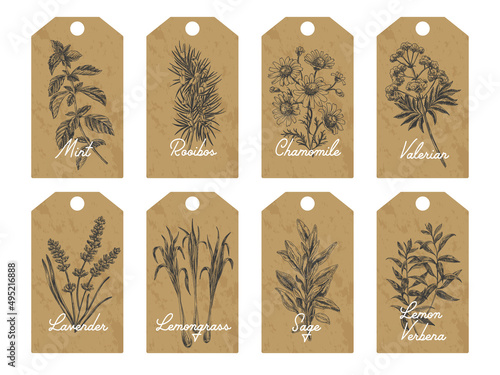 Set of herbal tea tags, vector hand drawn Illustration.