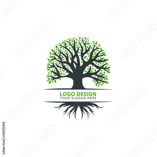 Oak Tree Logo Design Professional Logo 