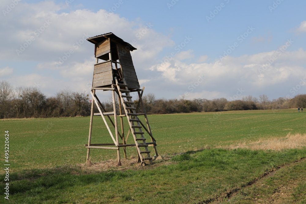 Naklejka premium a high seat at the edge of the forest