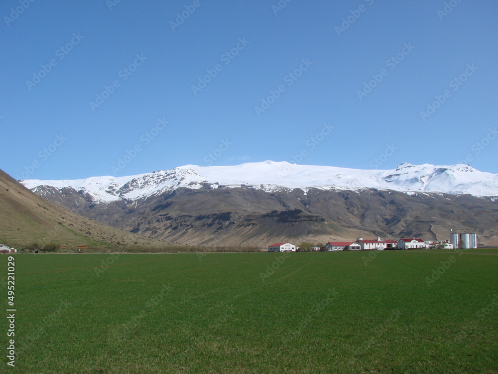 Beautiful landscape, green grass and a snow-covered mountain in the distance