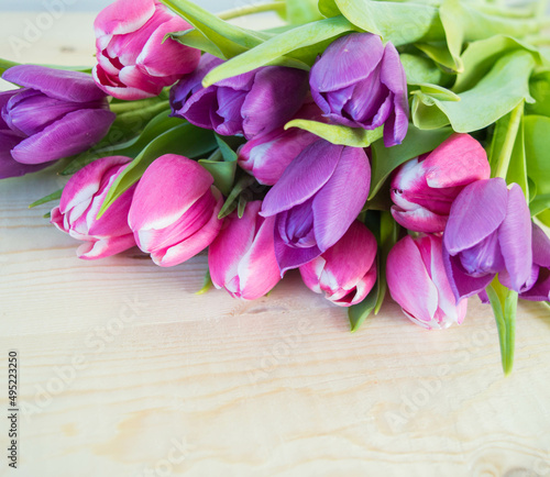 pink and violet tulips on wooden ground with space for text