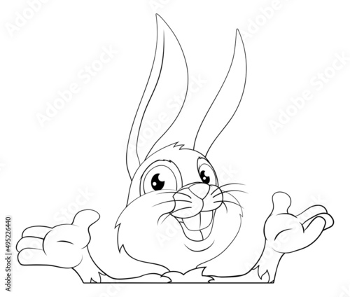 Easter Bunny Rabbit Cartoon...