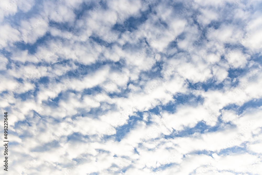 white fluffy clouds in the blue sky . panorama blue sky background with tiny clouds. white fluffy clouds in the blue sky . panorama blue sky background with tiny clouds.