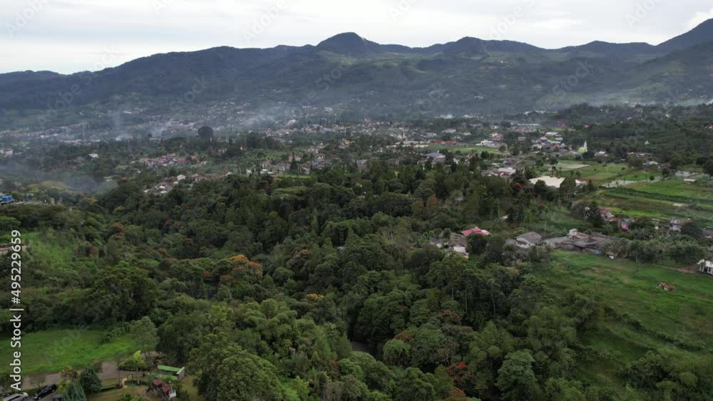 Tea gardens Puncak Bogor Tea gardens Puncak Bogor