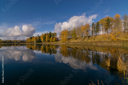 colorful autumn panoramas with yellow trees by the lake, beautiful and colorful reflections of trees and clouds in the calm lake water