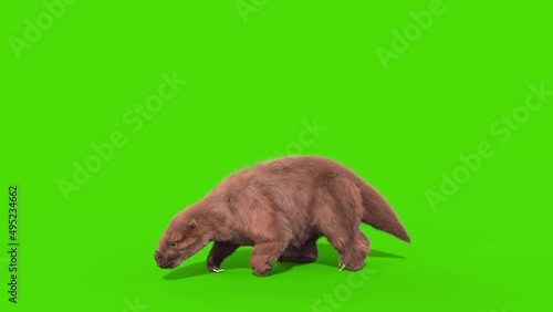 Paramylodon Pleistocene Mammal Spins and Roar side Green Screen 3D Rendering Animation photo