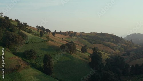 Aerial view of orchard garden, mountain landscape, agriculture Mexico