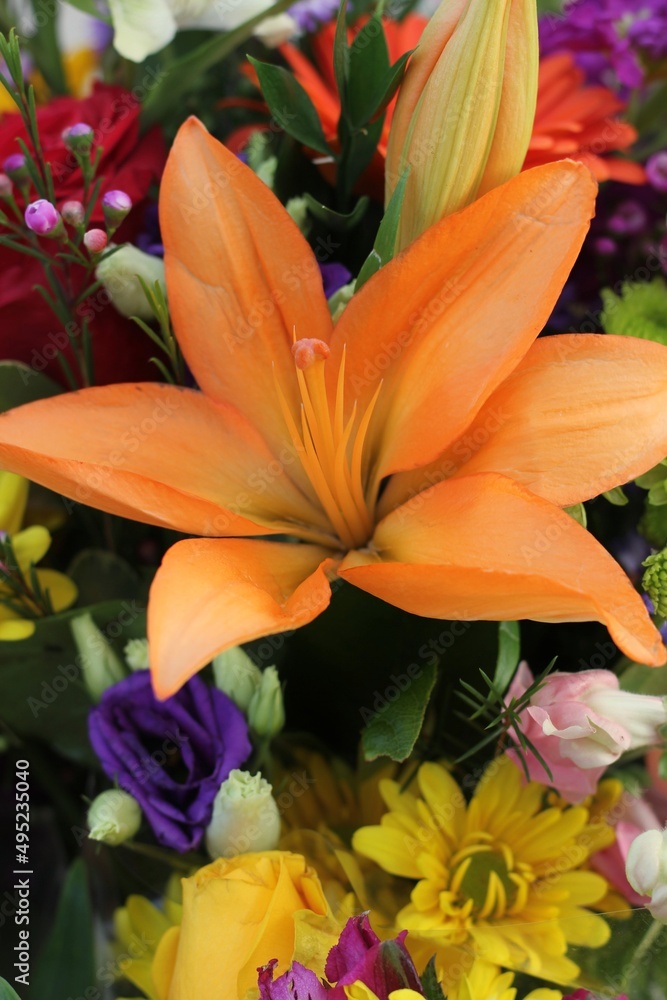 orange lily flowers