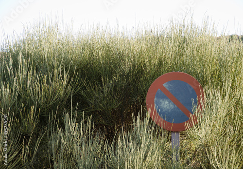 Prohibited parking sign between a broom Spartocytisus supranubius. Teide National Park. Tenerife. Canary Islands. Spain. photo