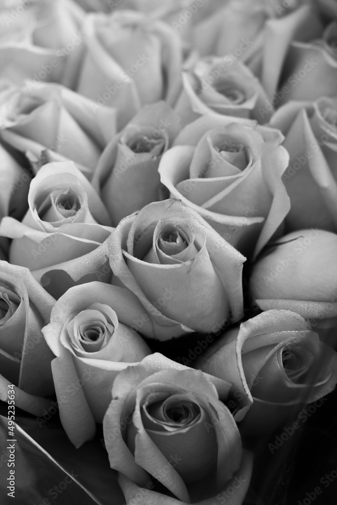 Obraz premium bouquet of roses in black and white 