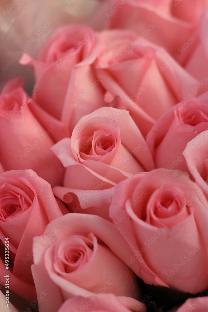 pink roses bouquet pink roses bouquet