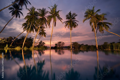 Water reflection of coconut palm trees in swimming pool with lake view at sunset. Tourist resort in beautiful tropical nature. .
