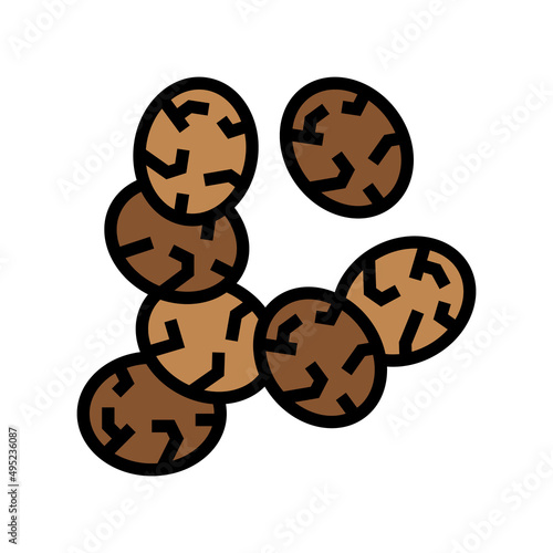 chia seed color icon vector. chia seed sign. isolated symbol illustration