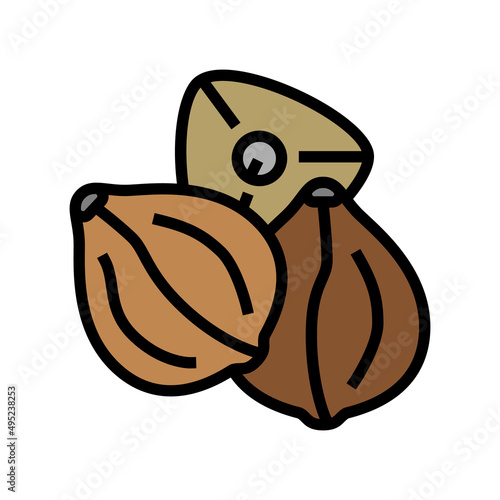 buckwheat seed color icon vector. buckwheat seed sign. isolated symbol illustration
