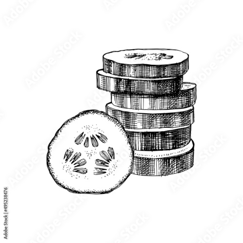 Hand drawn sliced cucumber illustration