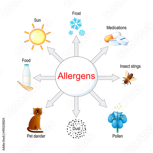 Types of allergens