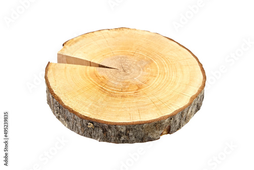 Wood slice with bark isolated on white