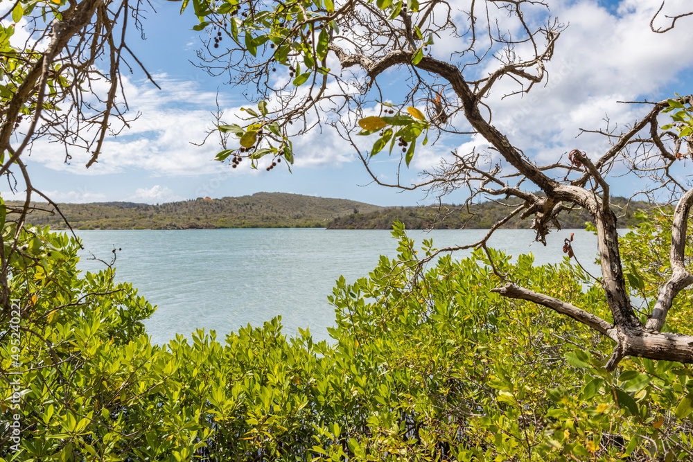 Beautiful Santa Martha Bay on the island Curacao in the Caribbean Beautiful Santa Martha Bay on the island Curacao in the Caribbean
