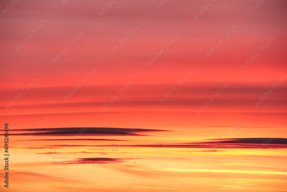 Fototapeta premium Sunset and clouds. Pink shades. Close up.