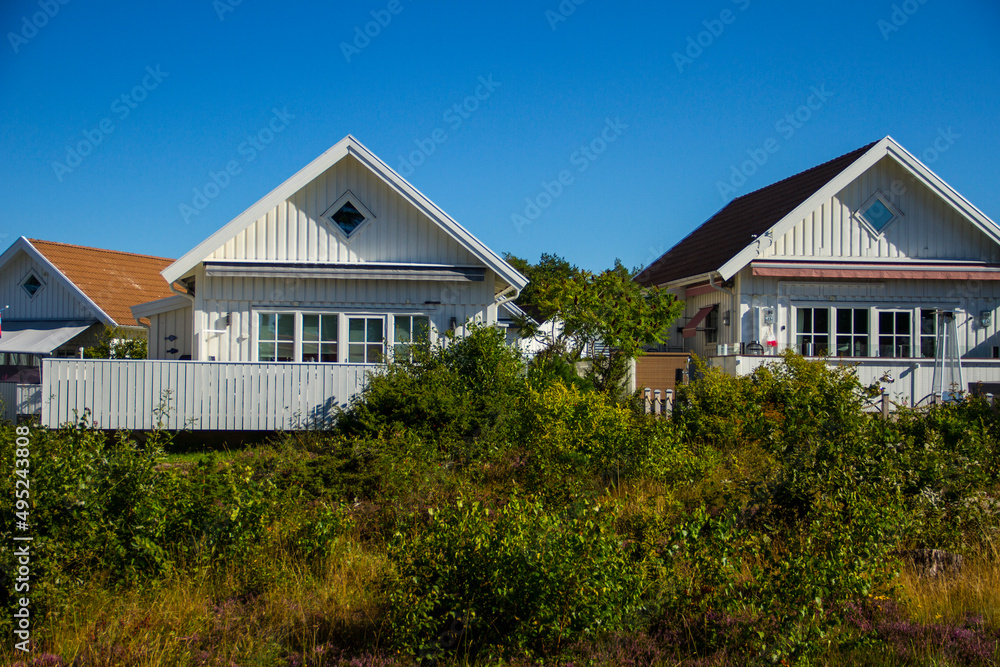 Fototapeta premium house on the hill