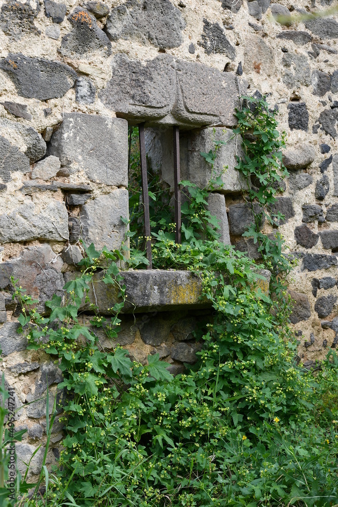 Petite fenêtre avec barreaux de fer envahie par du lierre sur une vieille maison abandonnée au bord d'un chemin de randonnée du ravin de Quinsat dans le puy de dôme