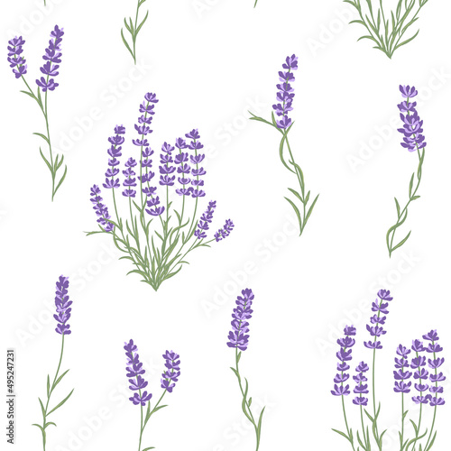 Fresh cut fragrant lavender plant flower seamless pattern.