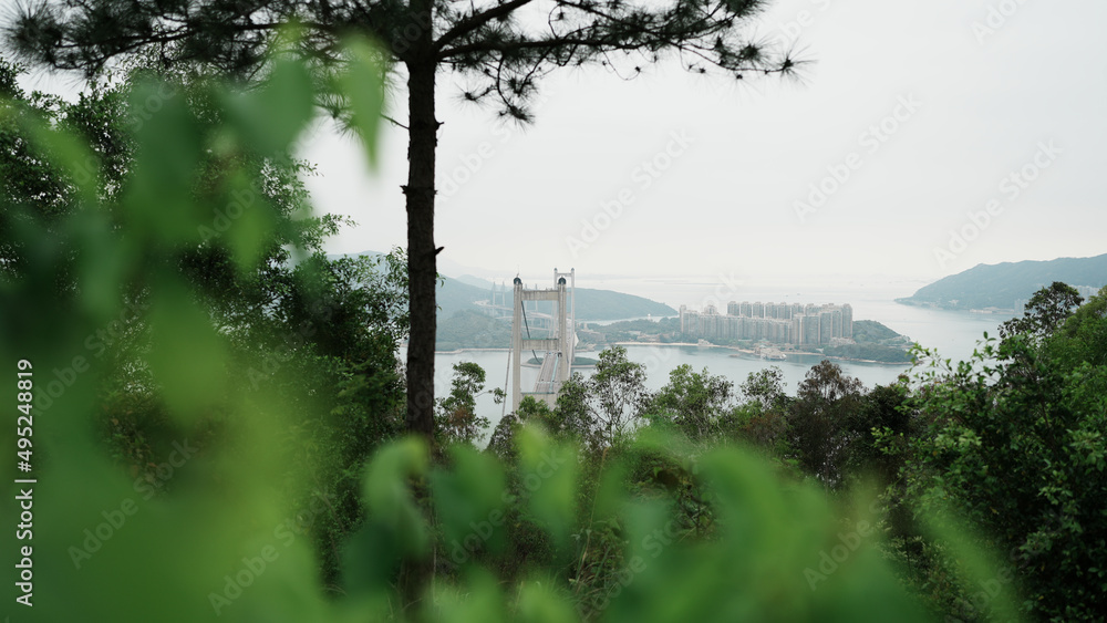 Obraz premium bridge