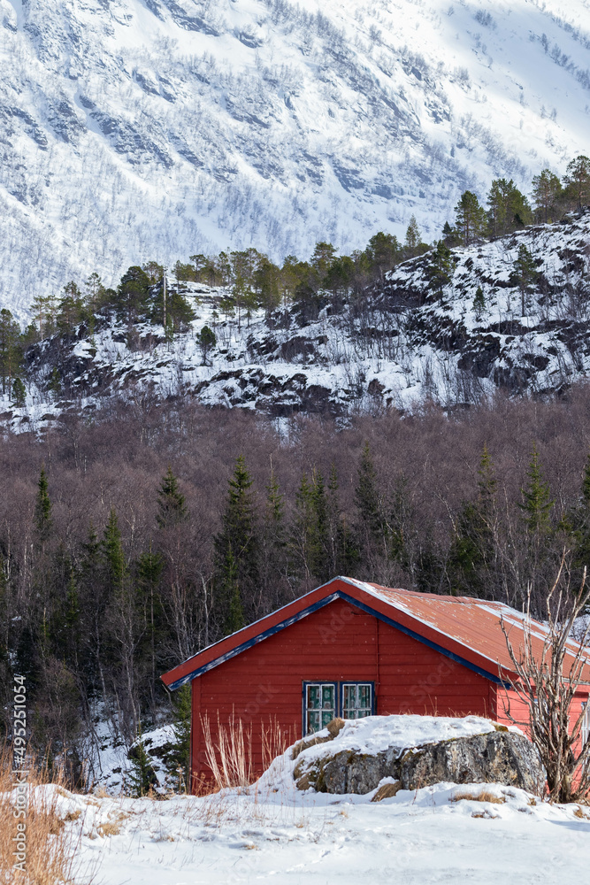 Lonelt norwegian cabin