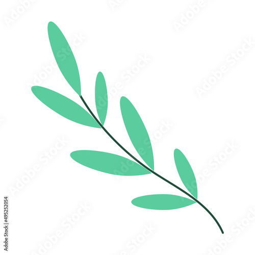 Branch with green leaves on a white background