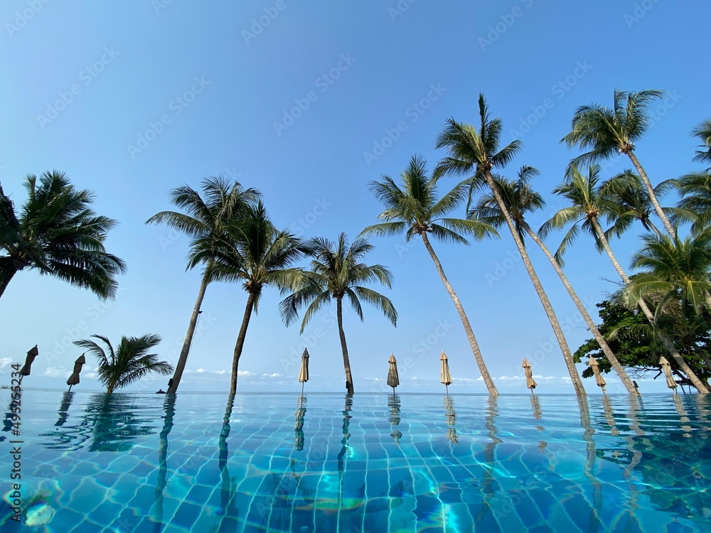 beach and sea, Holiday and vacation, nice tropical beach with palms, White clouds with blue sky