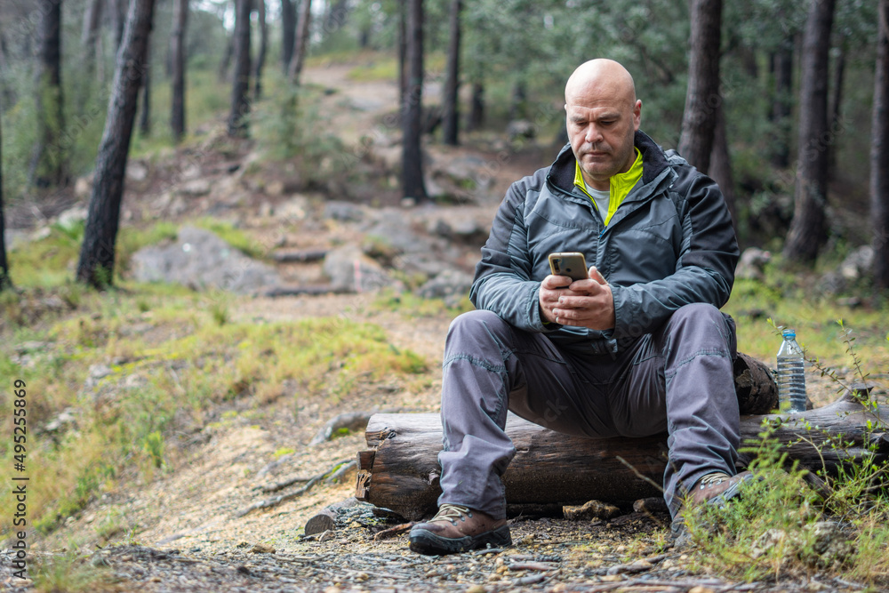 Hiker man using phone in lonely forest.
