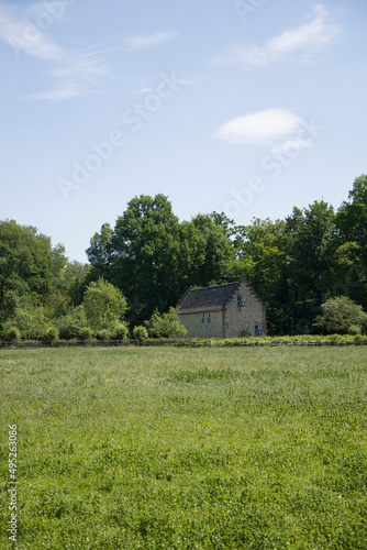 small village house among the green meadow, retro style, village life, rural