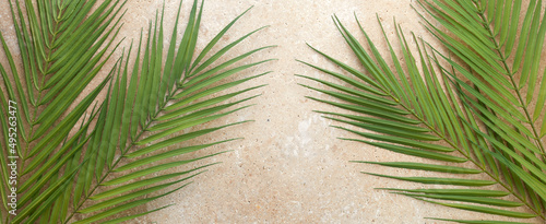 Palm Sunday background with green tropical tree leaves on stone