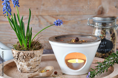 Burning various types of incense in an incense burner with tea light: frankincense, resins, sandalwood and herbs like rosemary and white sage - spring still life with blue grape hyacinth
