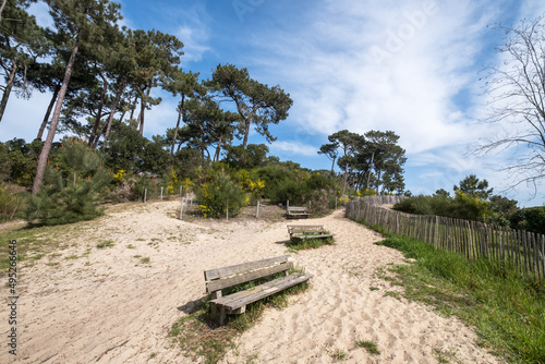 CAP FERRET (Bassin d’Arcachon, France). Bancs publics sur la dune