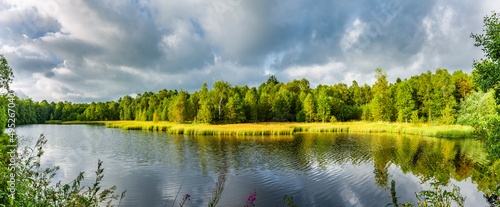 Moorsee im Roten Moor in der Hessischen Rh  n