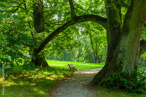 Ruhebank in einem schönen Park